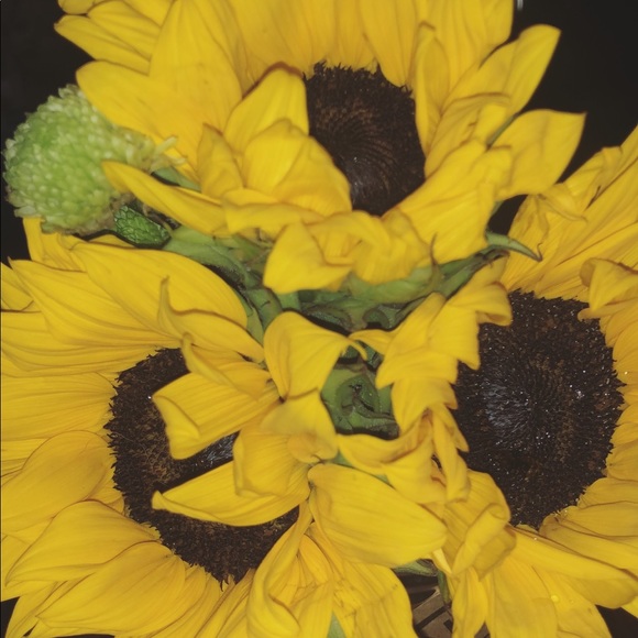 Meet your Posher, Jmr - Picture 1 of 1